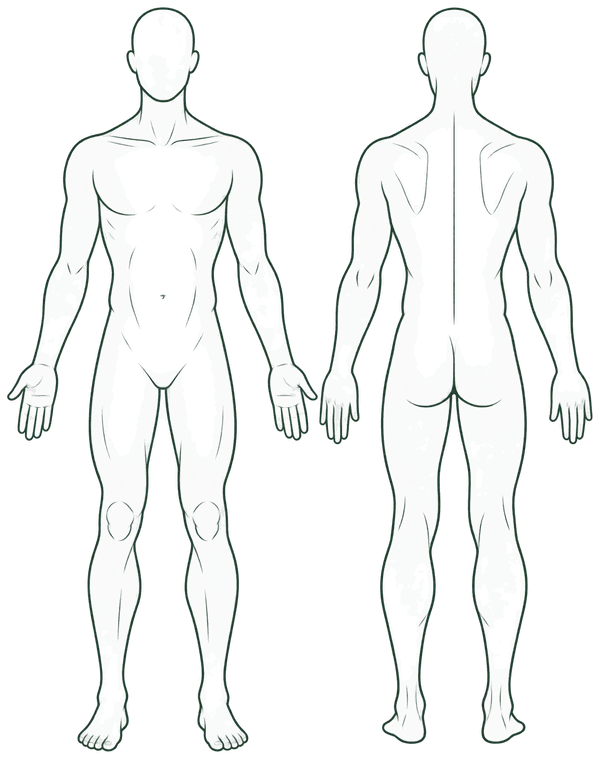 Body chart showing a person from the front and the back, with the selected area marked.